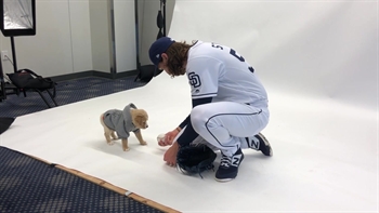 BTS at the Padres puppy calendar shoot