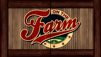 Josh Jung's Memorable 1st Minor League at bat | On The Farm Update