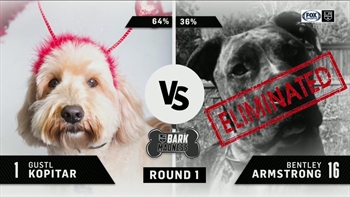 Massive upsets cause havoc in first round of LA Kings Bark Madness
