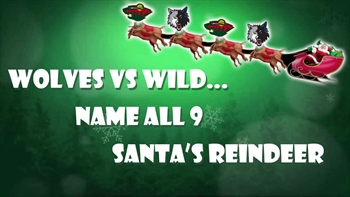 Reindeer Games: Wolves & Wild