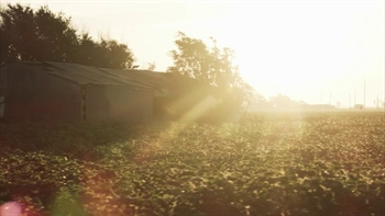 What Does HSFB Mean to Texas | UIL State Championships