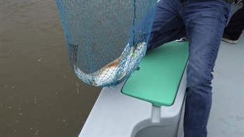 Fishing for Red Fish | Freeport, TX | FOX Sports Outdoors Southwest
