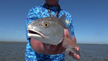 Texas Gulf Coast | Red fish | FOX Sports Outdoors Southwest