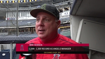 Angels Live: Scioscia tied with Lasorda