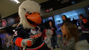 Ducks Weekly: Gulls fans 'ABSOLUTELY LOVE' the gameday experience