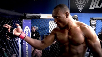 UFC on FOX
