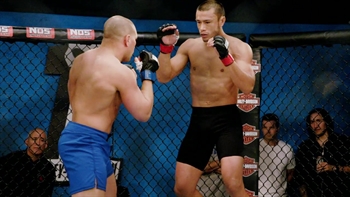 UFC on FOX