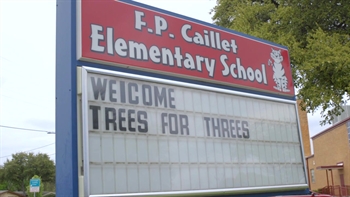 Trees for Threes  | Mavs Insider