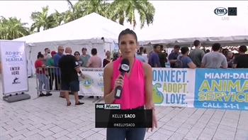 Kelly Saco goes behind the scenes at the Humane Society of Greater Miami's Adopt-O-Mania