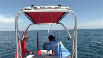 Atlantic Ocean | Kingfish and Cobia near Myrtle Beach Part 2 | FOX Sports Outdoors Southwest